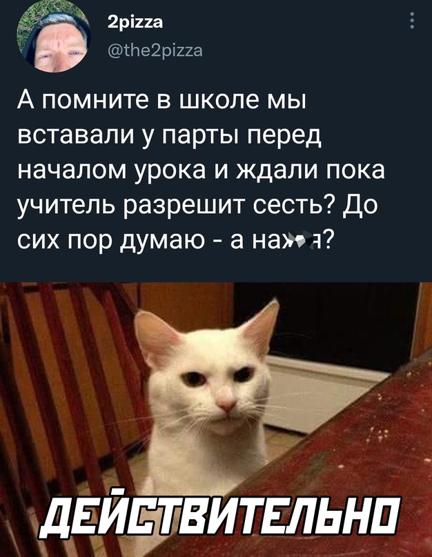Весёлый полтишок 18.02