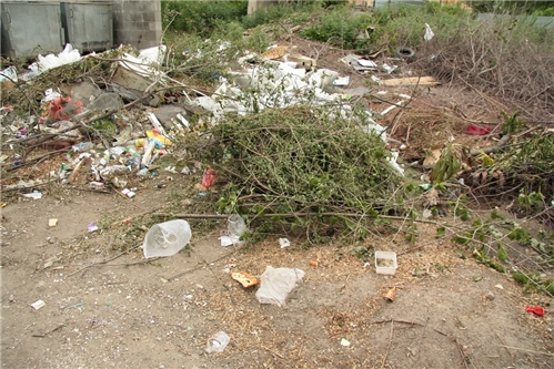Алматы 2011: город контрастов