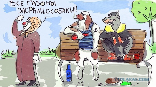 Почему города каждую весну утопают в грязи и собачем *овне?