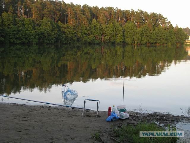 Черноморская рыбалка. Ставрида.