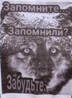 Сценарий для порнофильма