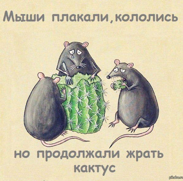 Киргизия....."Молчи русская!". В РОВД не нашли в избиении женщины состава преступления