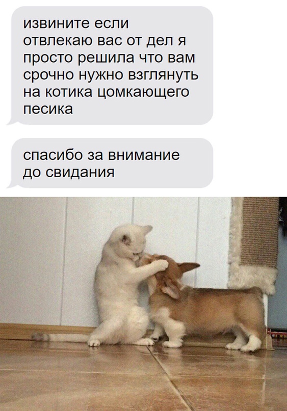 Картинки и мемы для настроения - 133