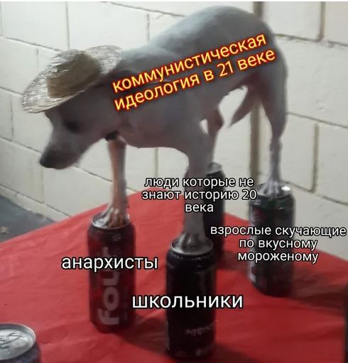 Вот такая демократия!