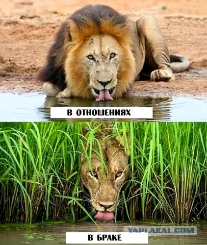 Отношения, каблук стирается