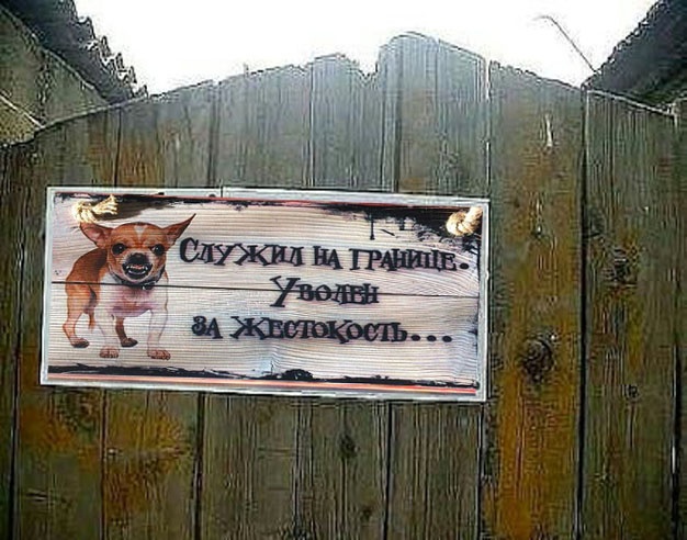 Немного картинок для настроения - 127