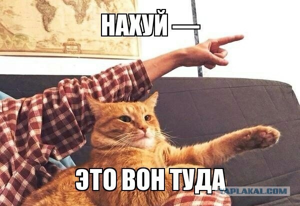 Ани Лорак, собирающая донаты на помощь Украине, планирует концертный тур по городам России