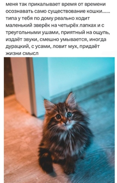 Забавные комментарии из социальных сетей (08.05.23)