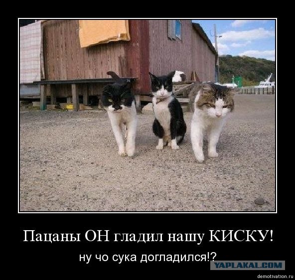 Жесткий юмор