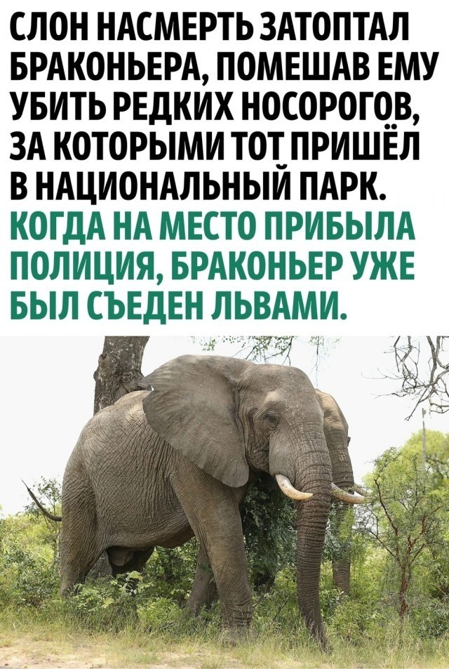 Так себе картинки 01.10.23