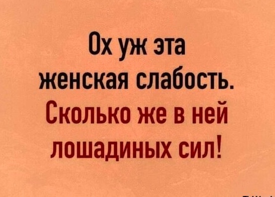 Весёлый полтишок 15.10.23