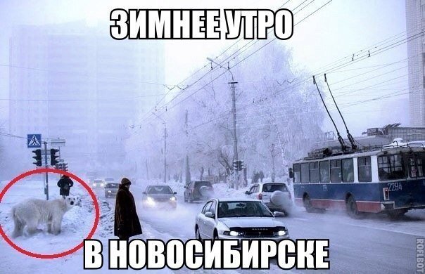 Впечатления от Новосибирска