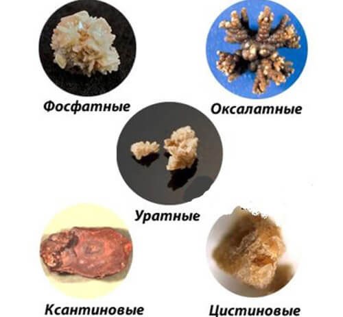 Раскрыта тайна древних Римлян
