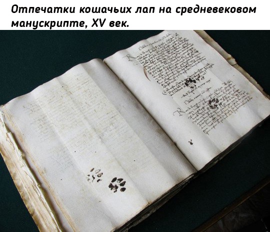 Картинки разные с надписями и без