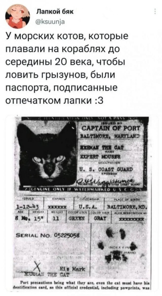 Картинки разные с надписями и без