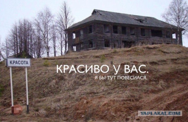 Весёлые картинки 2