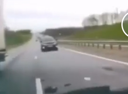 Ой какой миленький пёсик...