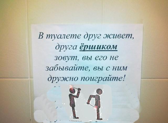 Так себе картинки 20.07.25