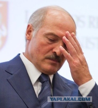 В Бобруйске омоновская «Газель»