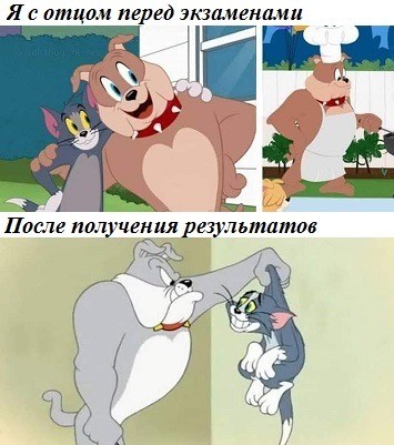 Веселое настроение в картинках (19.08.2025)