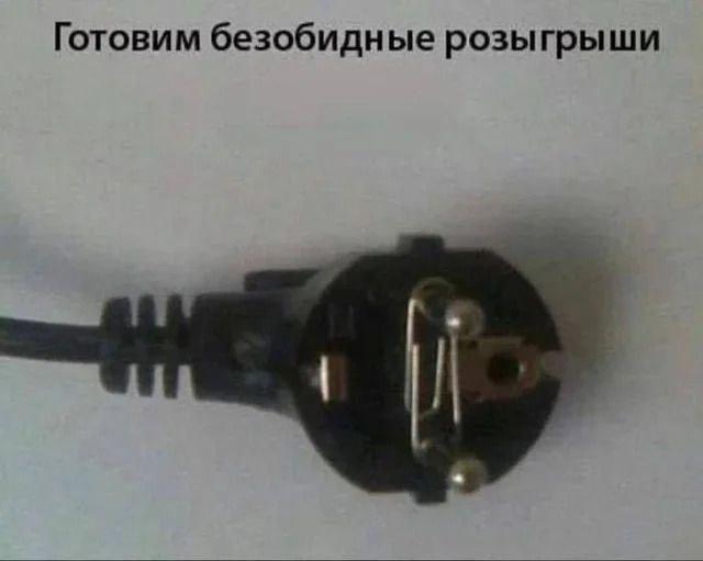 20421436.jpg