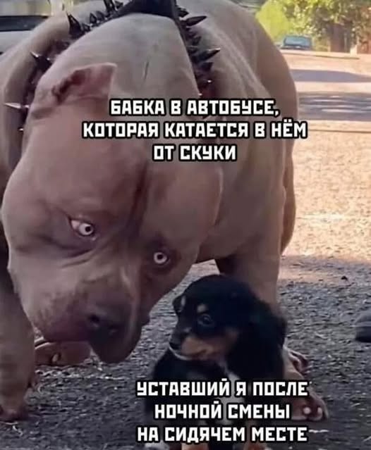 Пятничные бояны