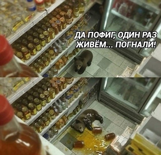 Отличного дня!