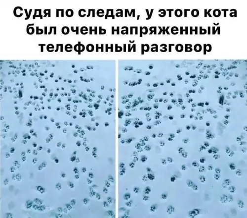 Картиночки, баянчики 02 марта
