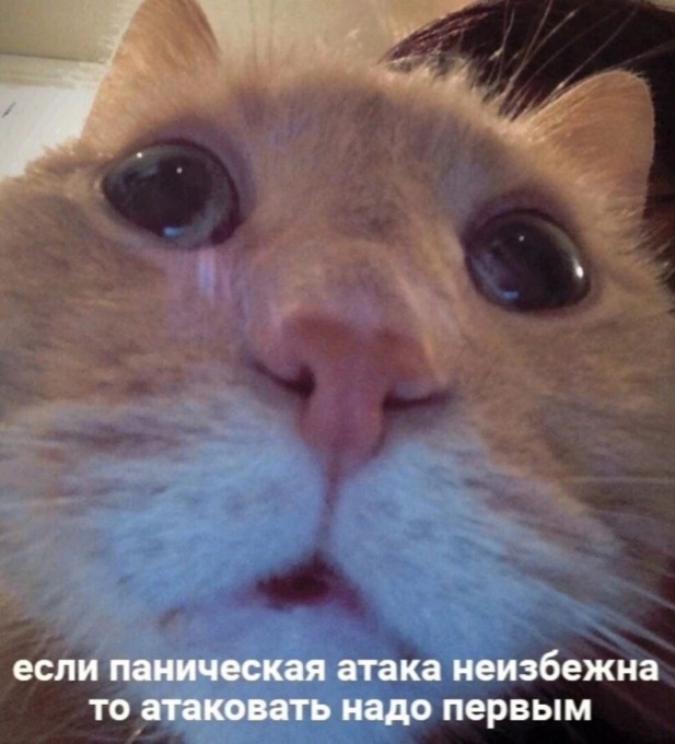 Ебическая ярость -  промежуточный финал