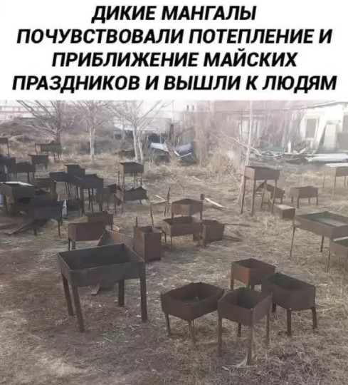 Картиночки, баянчики 27 марта