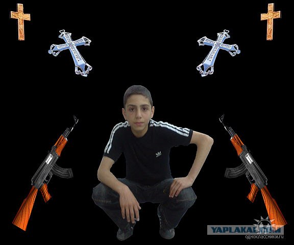 Дикие фото из социальных сетей