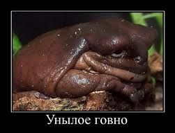Олимпийский огонь потух... теперь и в Мурманске!)