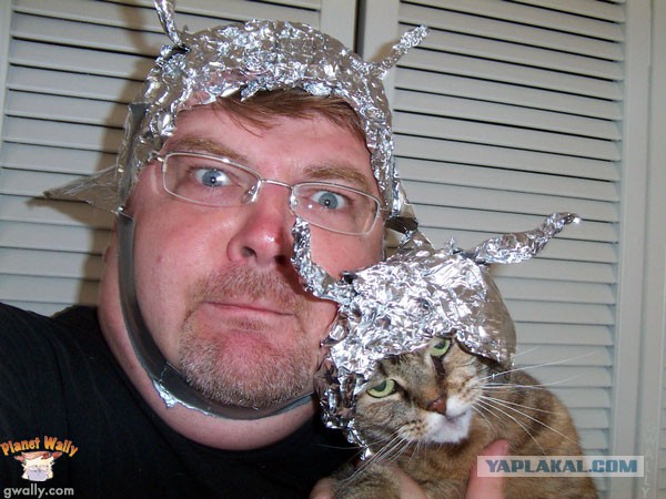 В вечной мерзлоте найден древний вирус