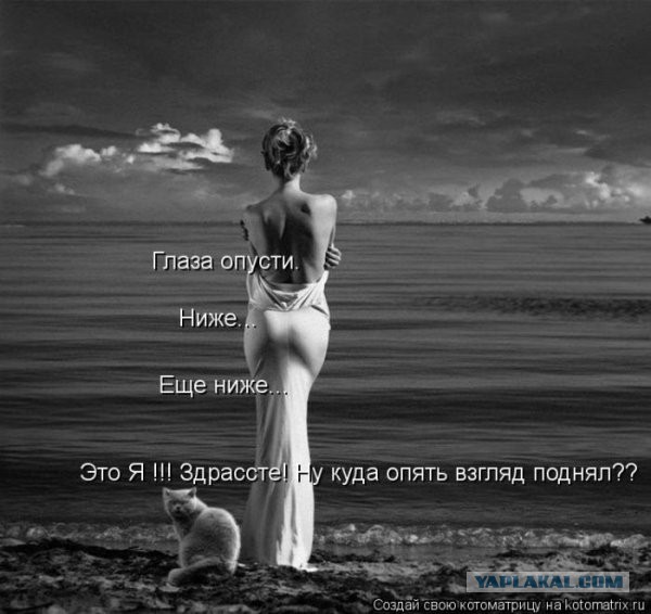 Смешные картинки из инета