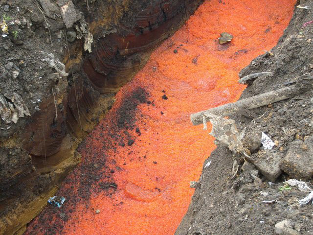 Как сгорает тонна красной икры