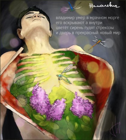 Веселые картинки