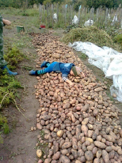 Плюсомет со шпалометом