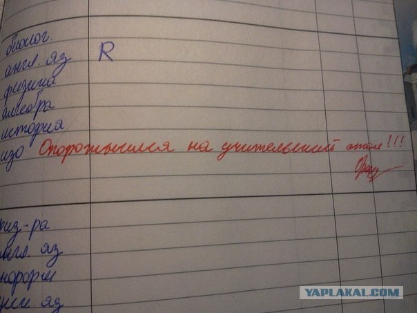 Записи в Дневниках