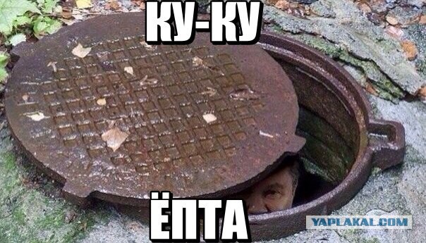 «Сепаратист»