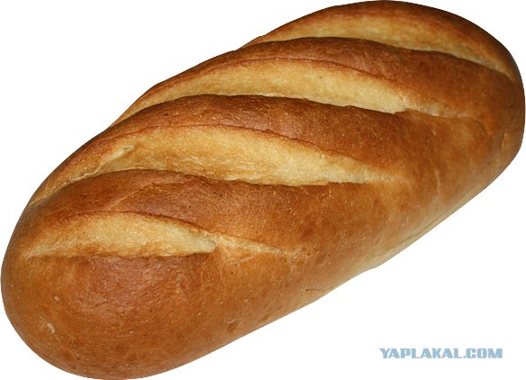 Живые дрожжи