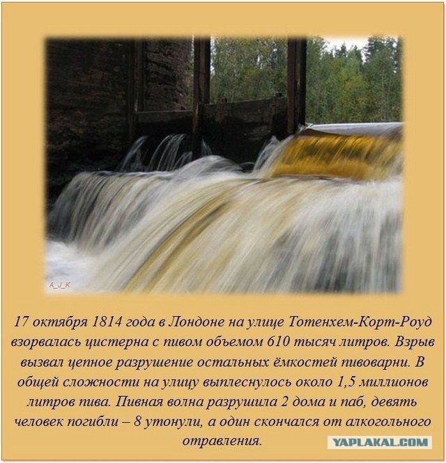 10 научных причин, почему пить пиво полезно
