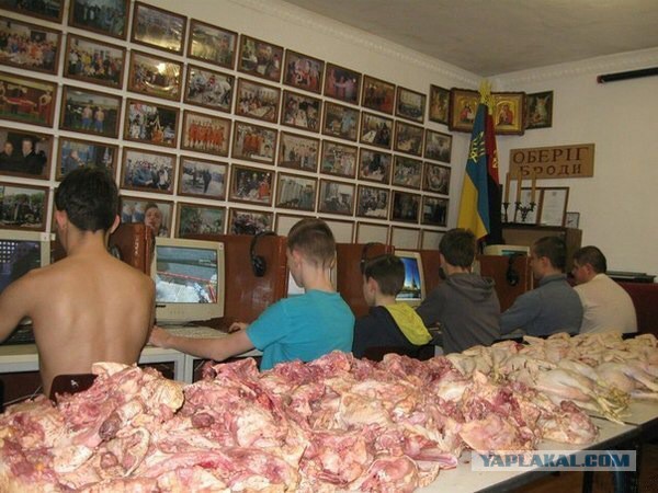 Ужасы и приколы из соцсетей 18+