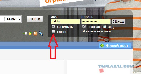 А поутру они проснулись...