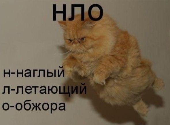 НЛО над Омском