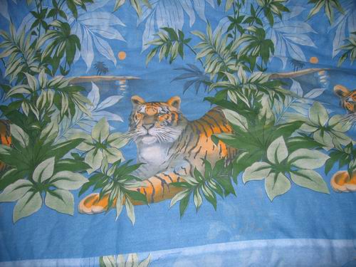 ДИКИЕ КОШКИ