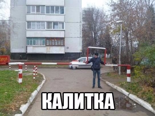 Прикольные картинки