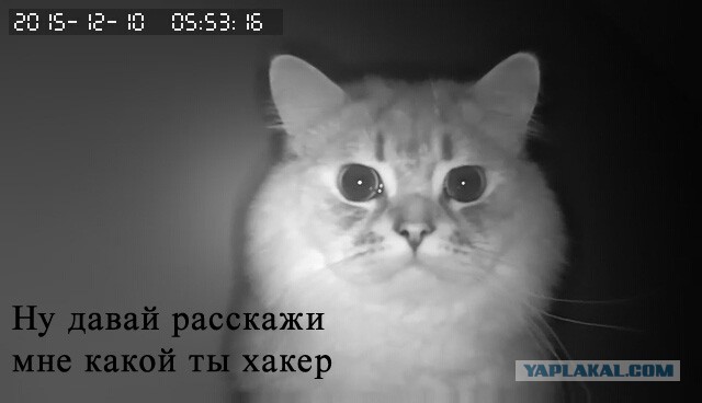 За что я люблю китайцев