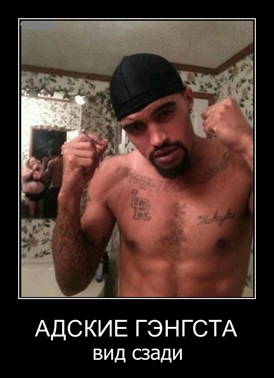 Подборка интересных и веселых картинок