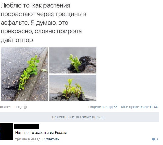 Ужасы и приколы из соцсетей 18+