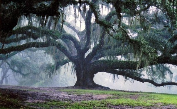 Интересные и веселые картинки